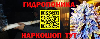 прущие крисы Краснодар