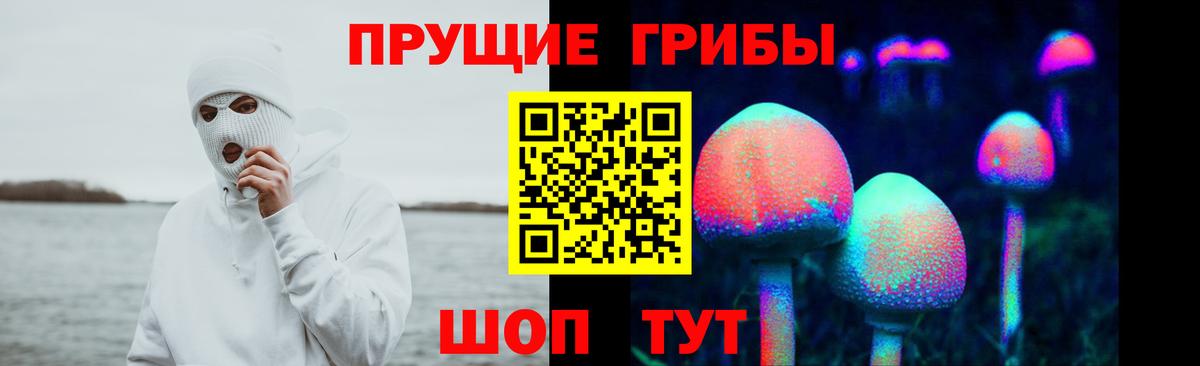 Черняховск  магазин  наркотиков  Галлюциногенные грибы Psilocybe  Вход с VPN  Галлюциногенные грибы GOLDEN TEACHER 