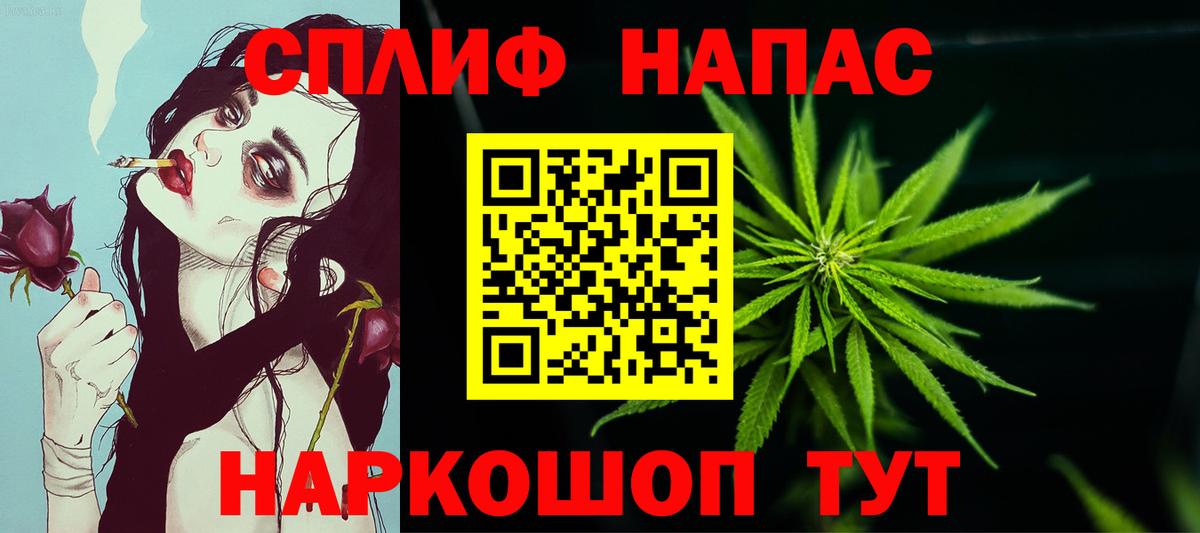  COCAIN Черняховск