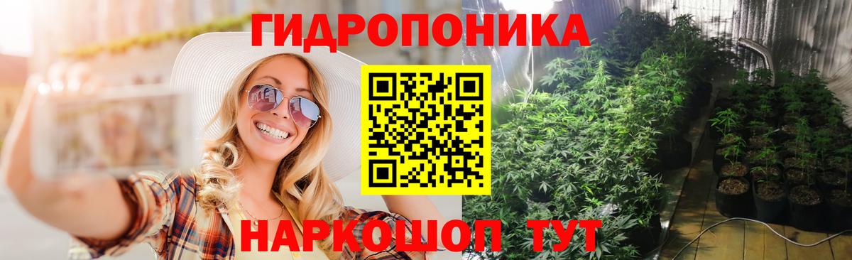 Черняховск  Конопля MAZAR  Бошки Шишки план  МАРИХУАНА индика  Вход с VPN 